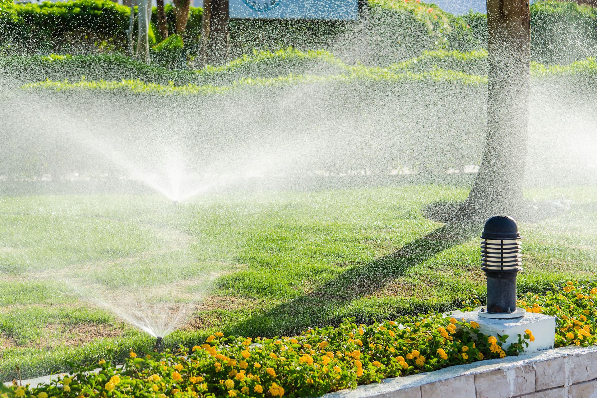Ahorre tiempo y agua con el riego automático