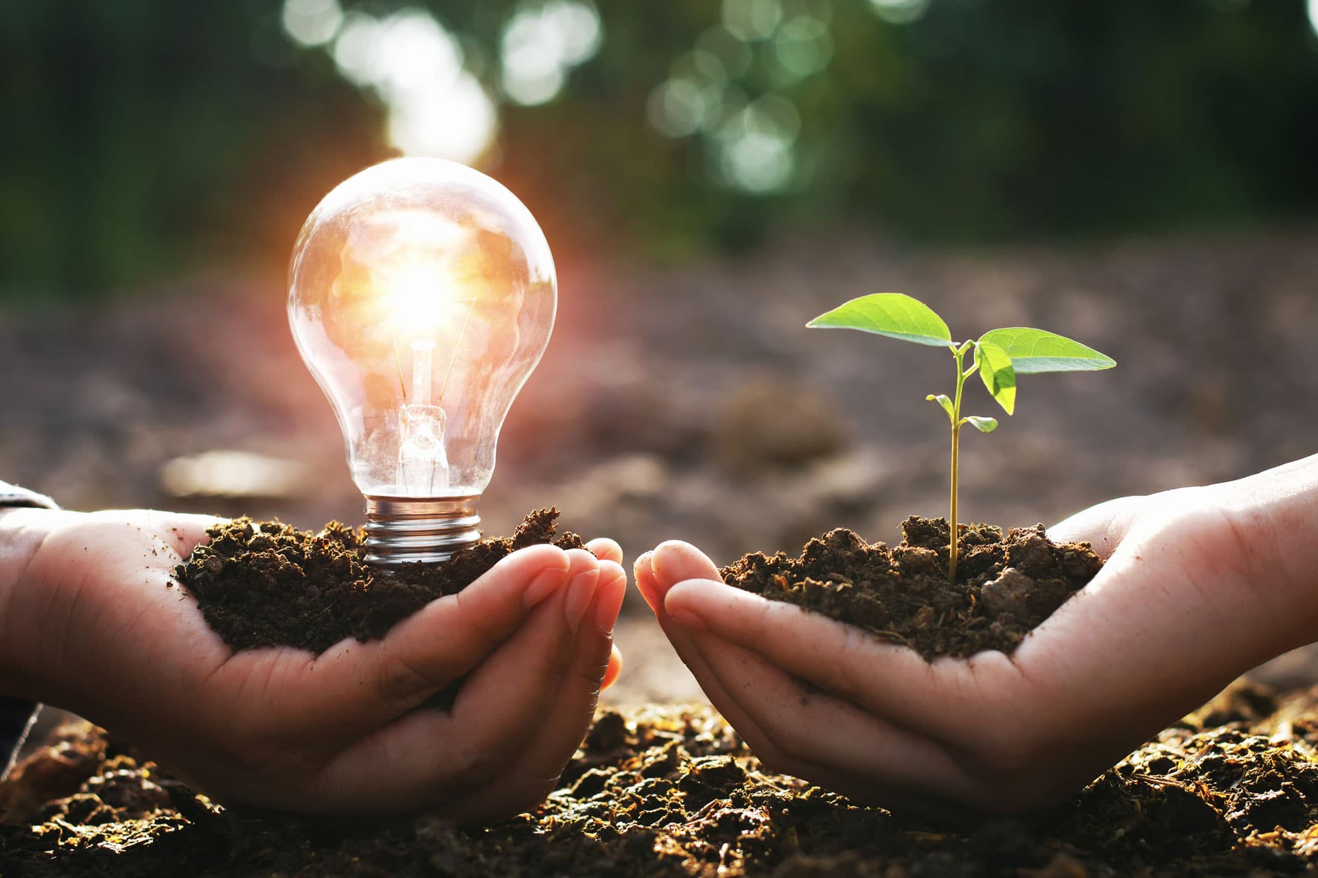 Energía limpia, ahorro garantizado, medio ambiente protegido