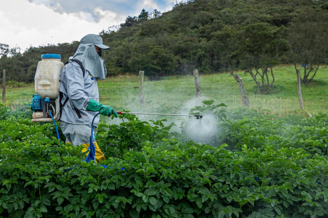 Productos químicos y pesticidas