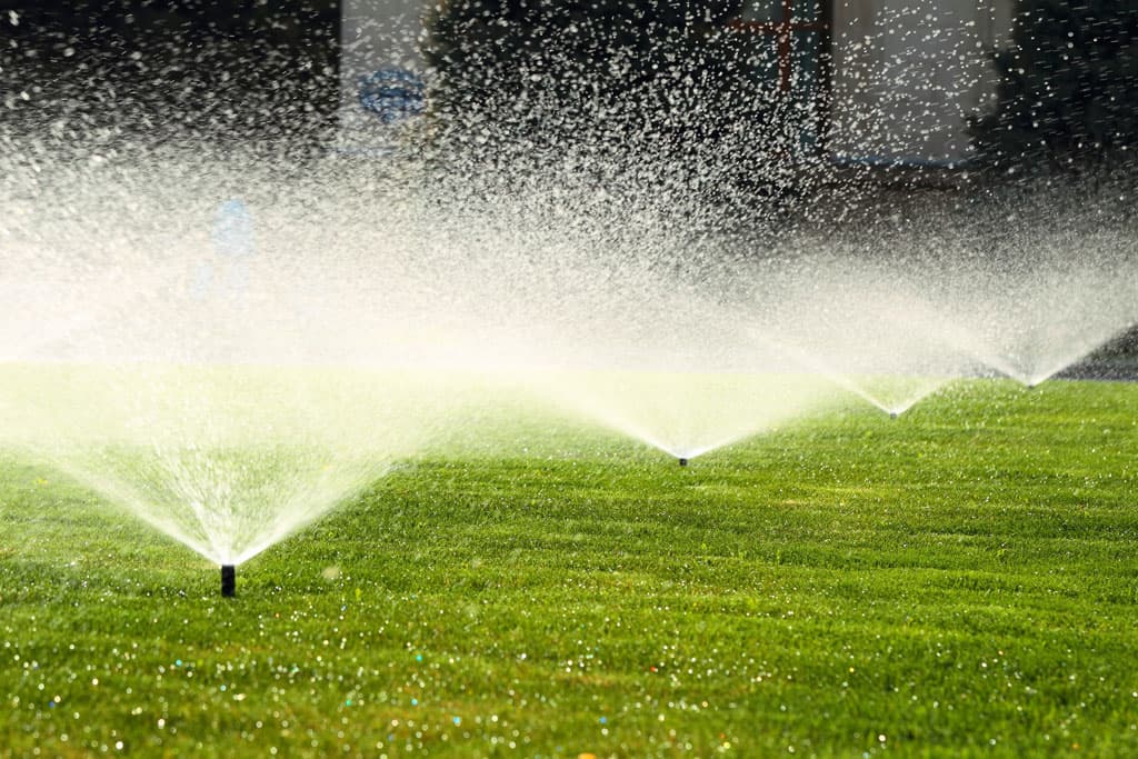 Instale riego automático para un jardín perfecto